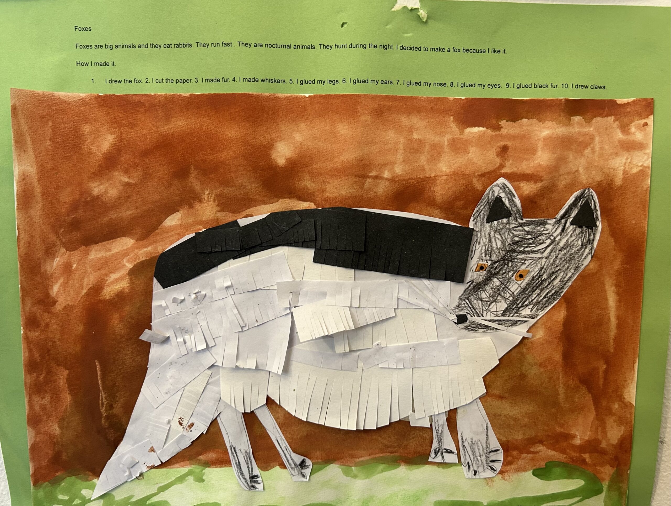 a mixed media white fox with a black strip on his back and gray face on a brown background, by a child